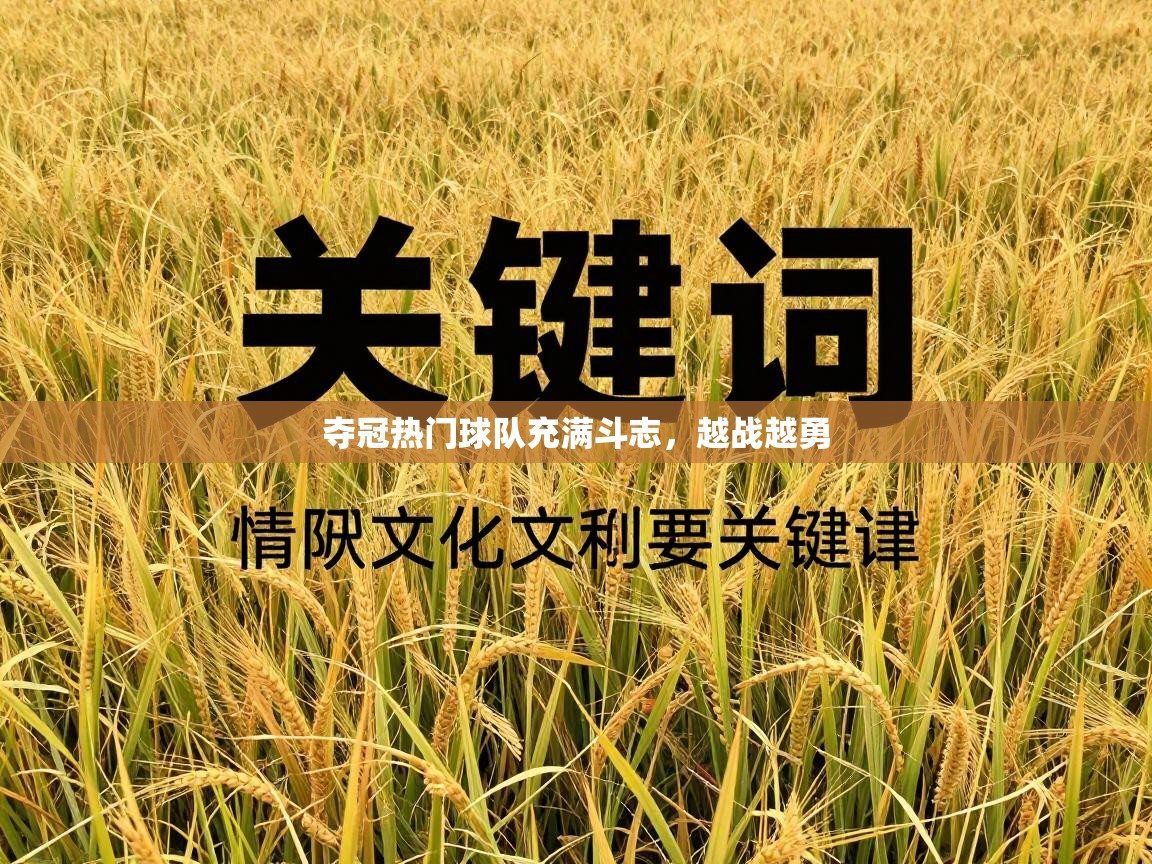 夺冠热门球队充满斗志，越战越勇  第2张