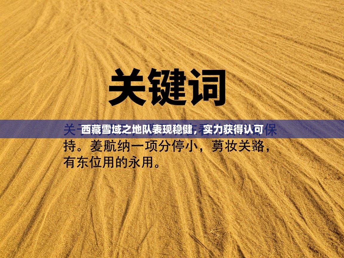 西藏雪域之地队表现稳健，实力获得认可  第1张