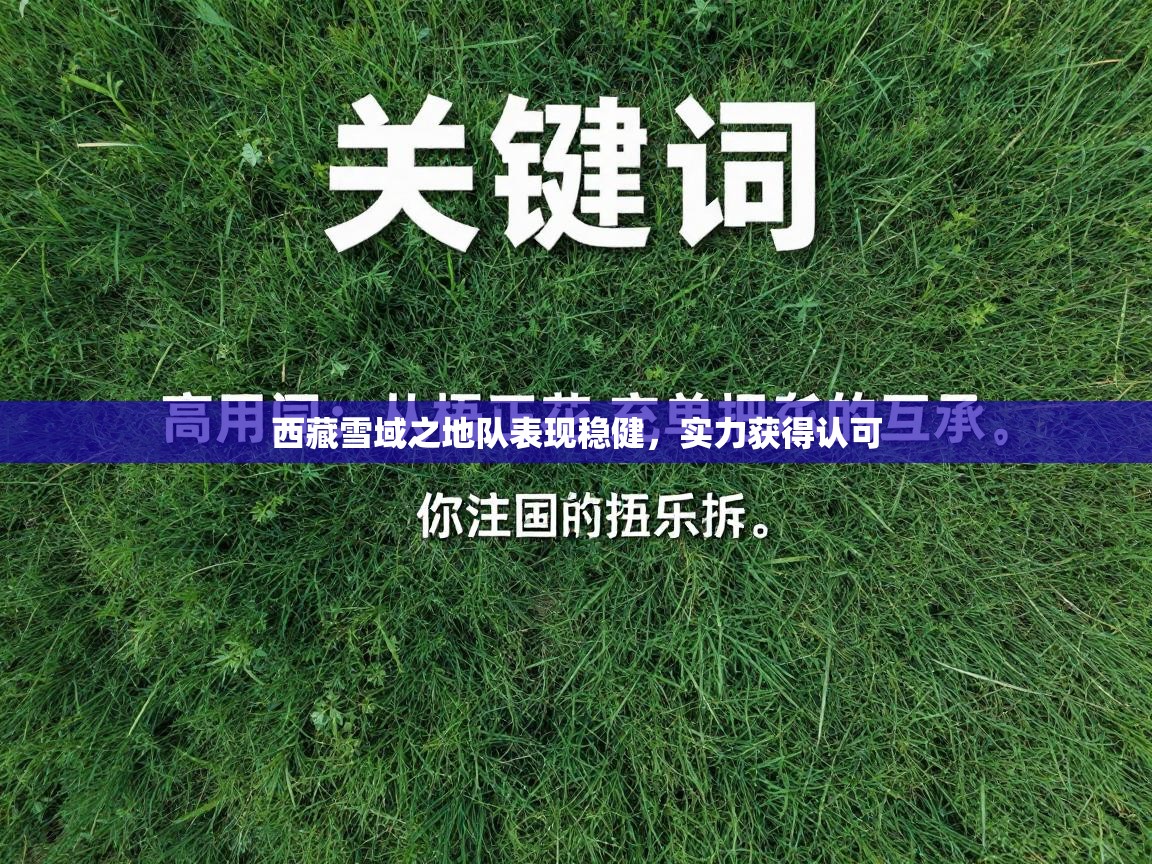 西藏雪域之地队表现稳健，实力获得认可  第2张